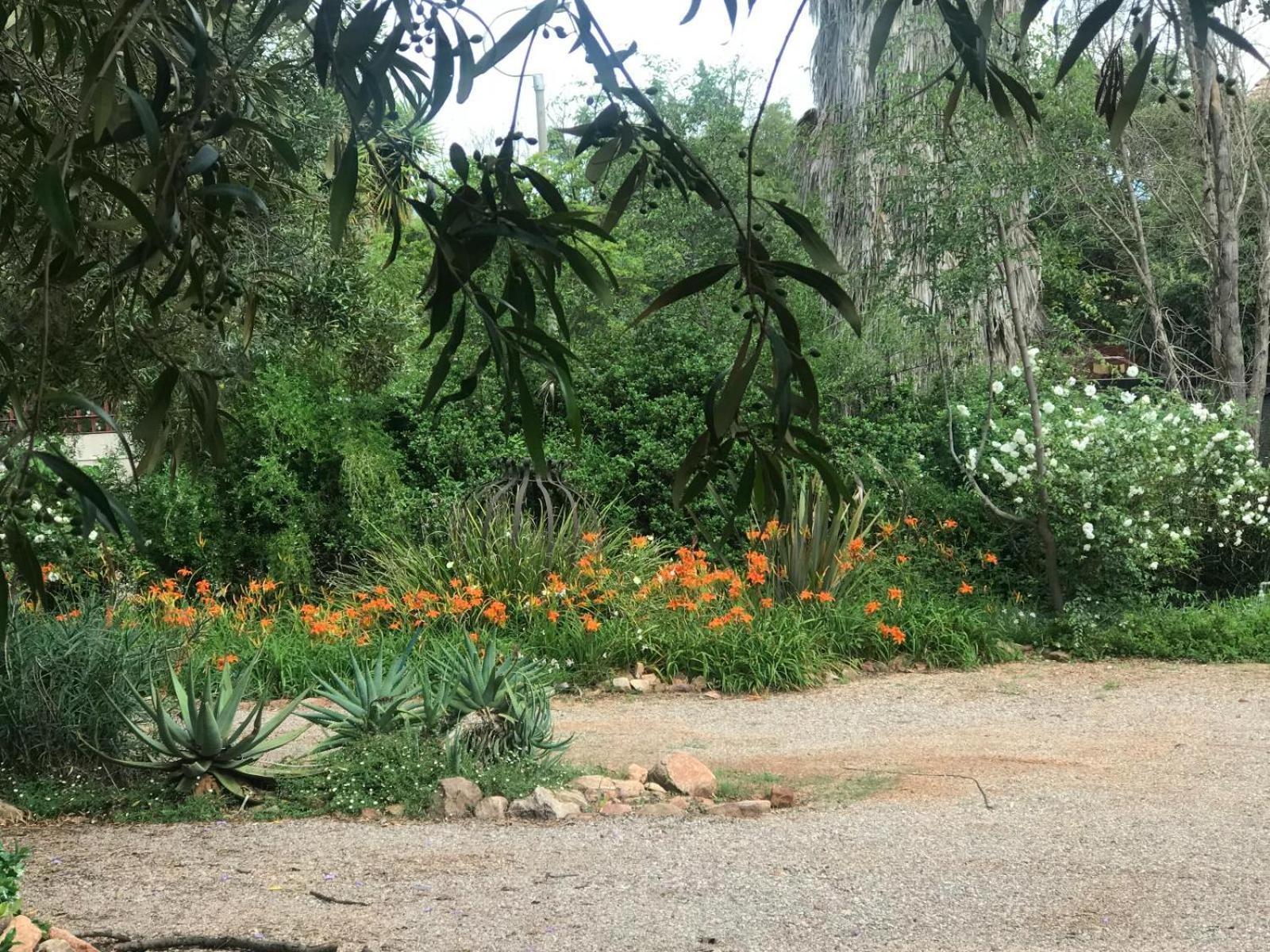 Aloe Guesthouse קלרקסדורפ מראה חיצוני תמונה